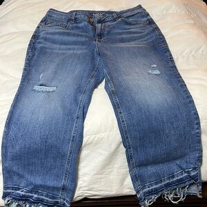 Maurice’s edgely size 16 cropped jeans